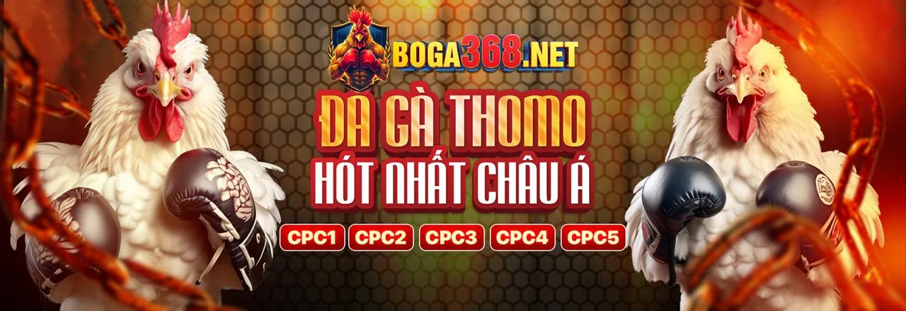 Đá Gà Trực Tuyến bet12 win
